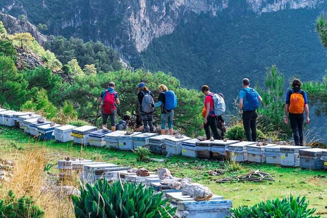 Lycian Way Trekking Tour (7 Days) - Day 3: 18 km along the coast, another 6 hours of trail time