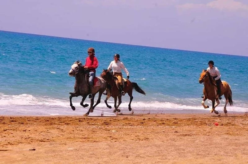 Manavgat Side: Horse Riding on the Beach and in the Forest - Forest-First, Beach-Second: How the Whole Ride Plays Out