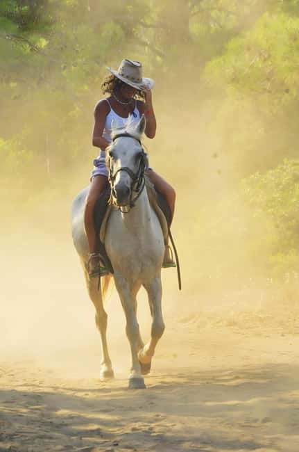 Manavgat Side: Horse Riding on the Beach and in the Forest - The Forest Trail and River Break: The Part Where You Exhale
