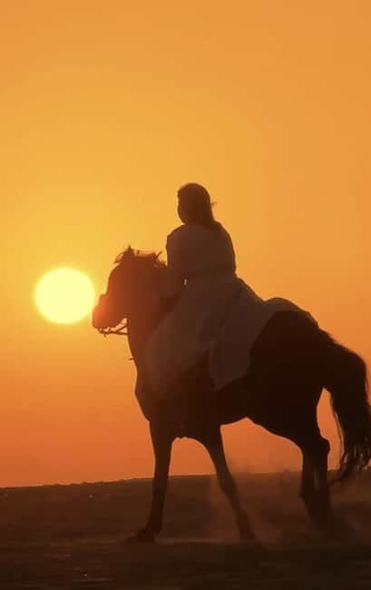 Manavgat Side: Horse Riding on the Beach and in the Forest - Choosing the Beach Option: Sand, Water, and That Speedy Moment