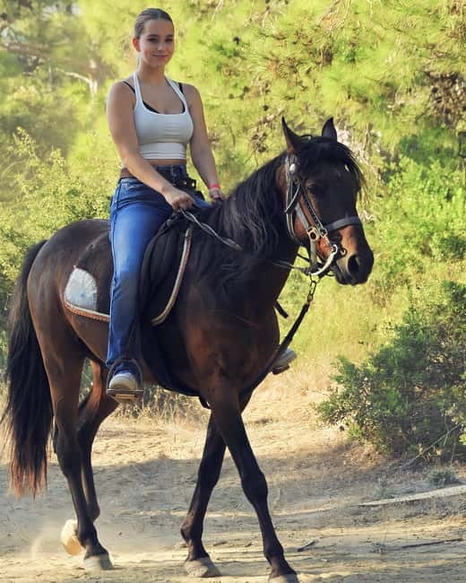 Manavgat Side: Horse Riding on the Beach and in the Forest - The Horses: Friendly, Trained, and Built for Mixed Riders