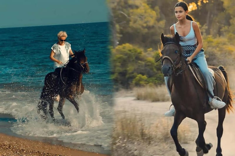 Manavgat Side: Horse Riding on the Beach and in the Forest - Price and Value Around $58 for 1 Hour of Riding