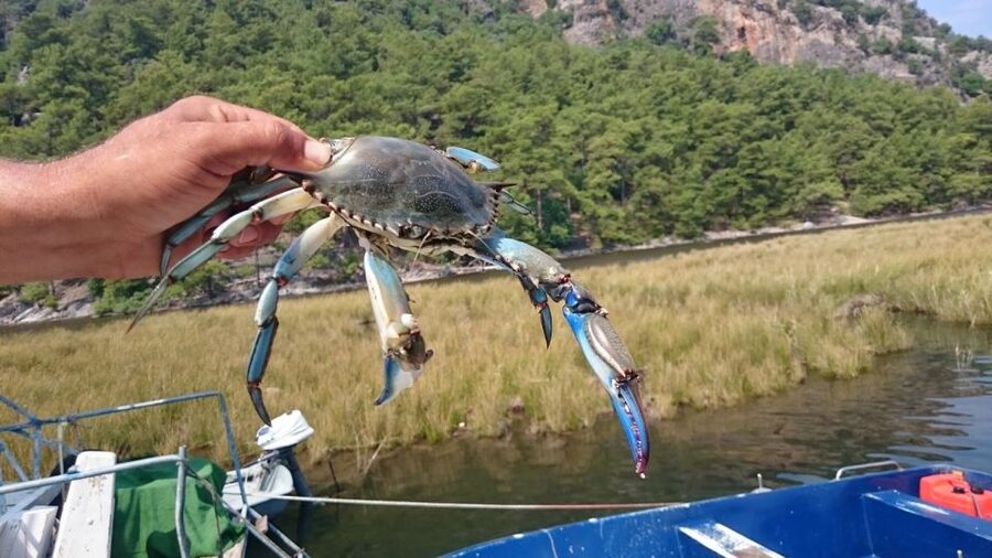 Marmaris: Dalyan Turtle Beach Tour with Mud Bath & Lunch - Sultaniye pools and the route toward Turtle Beach