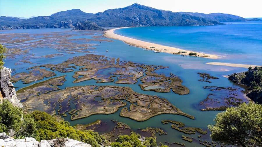Marmaris: Dalyan Turtle Beach Tour with Mud Bath & Lunch - How the guide helps your turtle odds (and your whole day)