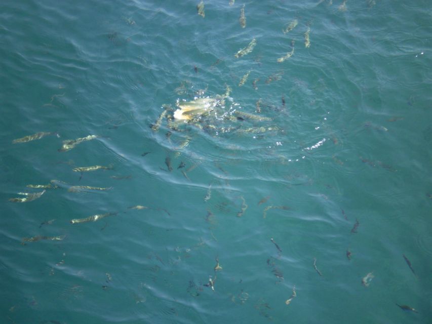 Marmaris Full-Day Boat Trip with Unlimited Soft Drinks+Lunch - Boat Comfort and Safety: The Real-World Things to Consider
