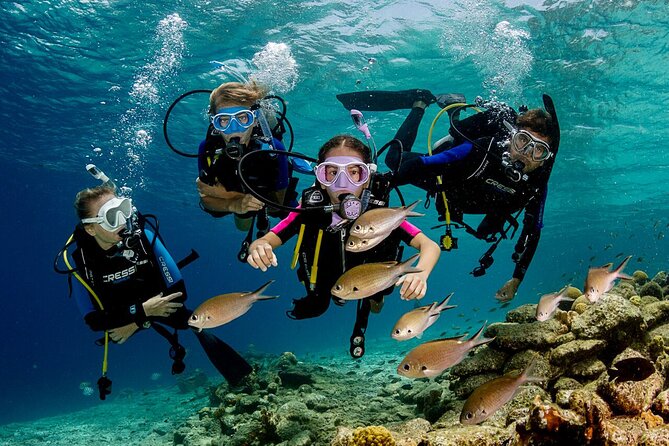 Marmaris Full Day Scuba Diving Two Dives With Lunch Hotel pickup - Key highlights worth your attention
