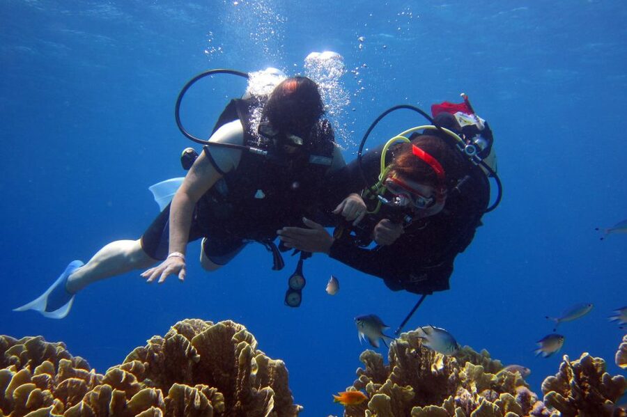 Marmaris: Scuba Diving Experience with 2 Dives and Lunch - Key Things I’d Actually Watch For