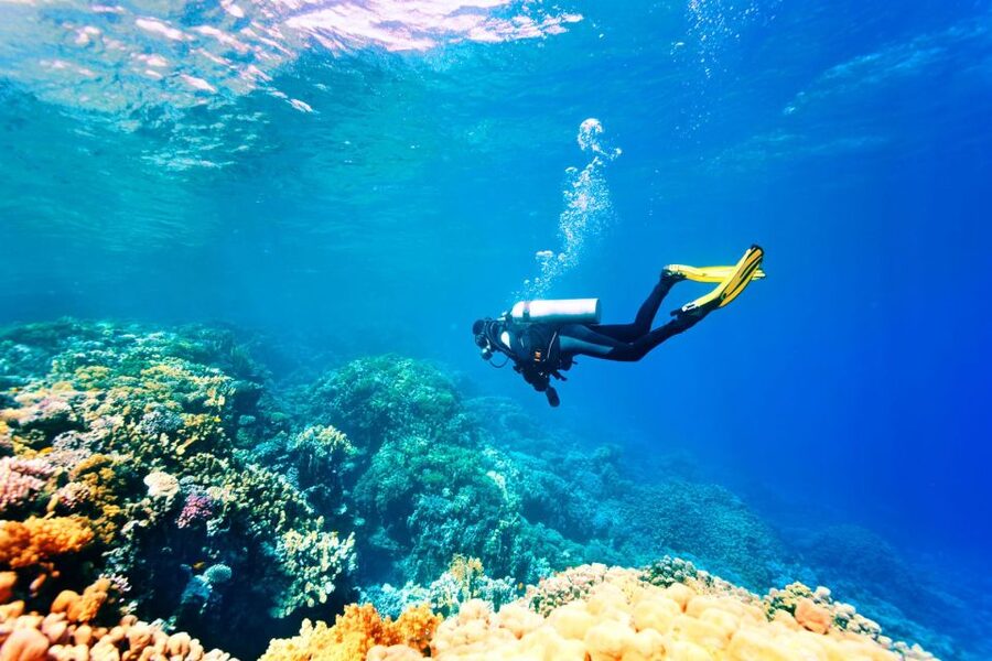 Marmaris: Scuba Diving Experience with 2 Dives and Lunch - Second Underwater Session: Up to 6 Meters for Novices, Plus Reefs and Sea Life