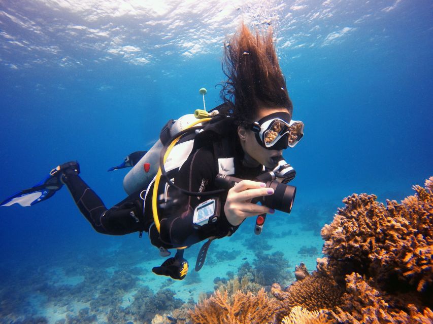 Marmaris: Scuba Diving Experience with 2 Dives and Lunch - What You Can Do If You’re Spectating (Swimming Beats Waiting)