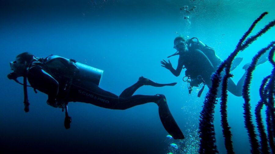 Marmaris: Scuba Diving Experience with 2 Dives and Lunch - The Briefing and Gear Stage: What You Get Before You Go Underwater