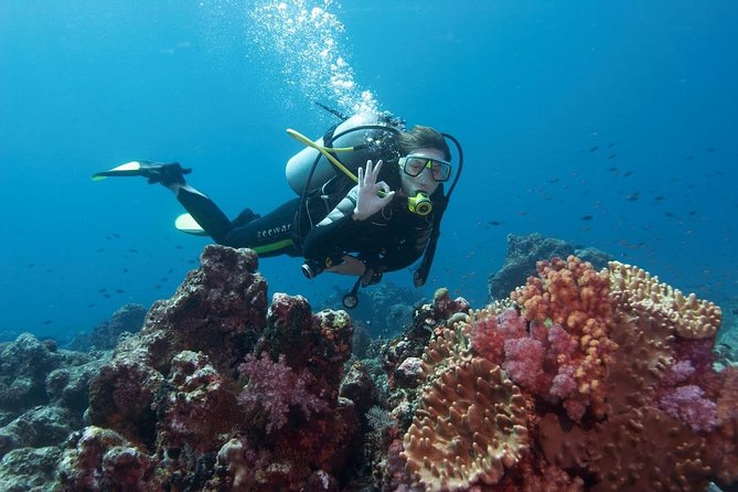 Marmaris Scuba Diving Experience with Lunch & Hotel Transfers - Key Things I’d Book This For