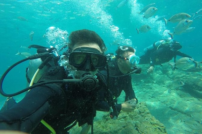 Marmaris Scuba Diving Experience with Lunch & Hotel Transfers - First Minutes in Marmaris: Pickup, Timing, and What You Actually Need