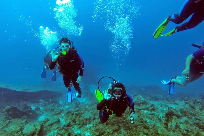 Marmaris Scuba Diving Experience with Lunch & Hotel Transfers - Price and Value: Why About $30 Can Make Sense Here