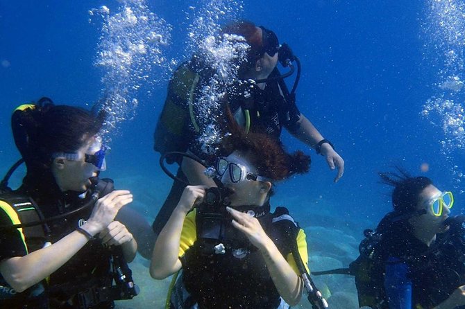Marmaris Scuba Diving Experience with Lunch & Hotel Transfers - Who This Tour Fits Best (And Who Might Want Another Option)