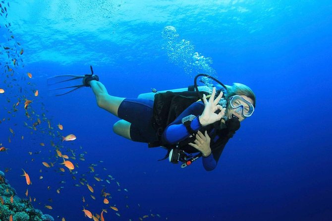 Marmaris Scuba Diving Experience with Lunch & Hotel Transfers - Practical Tips Before You Go (So You Enjoy the Second Site)