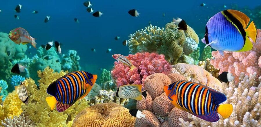 Marmaris: Scuba Diving with a Qualified Instructor - Who should book this, and who should be extra careful