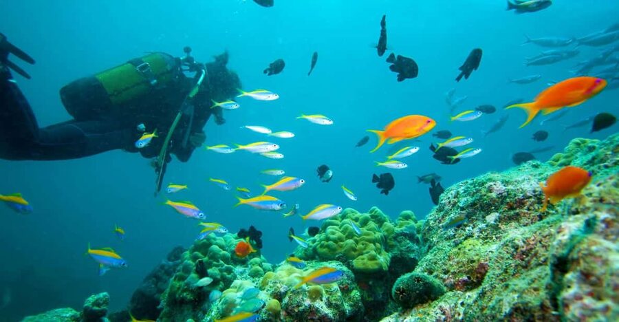 Marmaris: Scuba Diving with a Qualified Instructor - Marmaris underwater training in 7 hours: what the day feels like