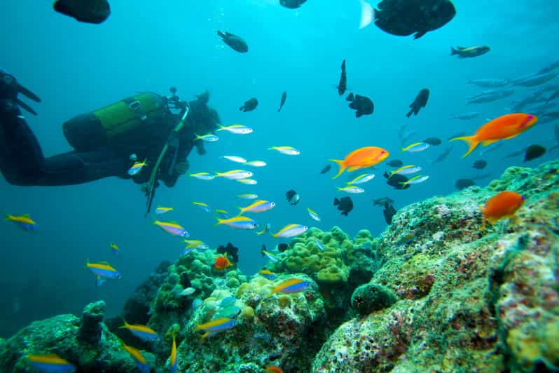 Marmaris: Scuba Diving with a Qualified Instructor - The gear and safety setup: what modern equipment means in real life