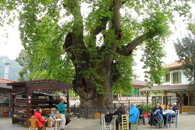 Marmaris Village Tour with Waterfalls & Visit Jesus Beach - Jesus Beach (Kizkumu): Walking the Sand-Wall Gulf