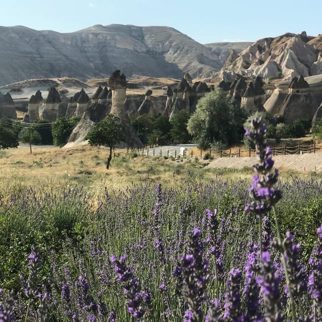 Mochiron Tour Full day Cappadocia With Japanese Guide - Devrent Valley: rock shapes that trigger instant stories