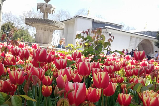 Most famous sites of Istanbul - How This Five Hour Walk Covers Istanbul’s Biggest Names