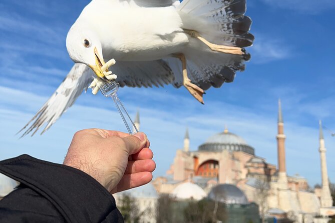 Multi 2 Days Private Guided Istanbul Iconic Landmarks City Tour - Day 1 in Sultanahmet: Blue Mosque to Grand Bazaar