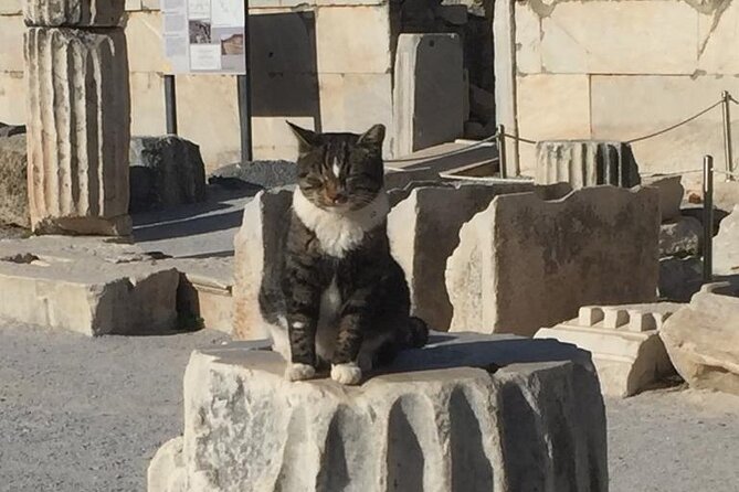 NO HIDDEN FEES Private Ephesus with skip the line tickets - Private A/C transport that saves your energy