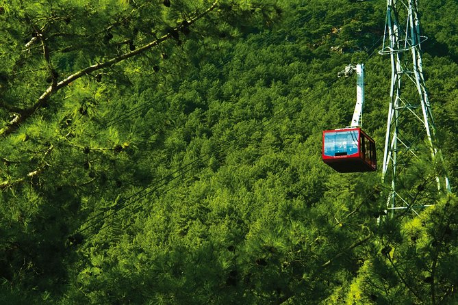 Olympos Teleferik Cable Car Antalya Ticket - Who Should Book Olympos Teleferik (And Who Might Skip)