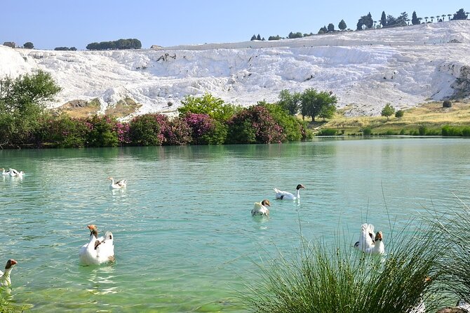 Pamukkale and Hierapolis Small Group Tour - Hierapolis, Necropolis to Temple of Apollo, with a Real On-Site Narrative