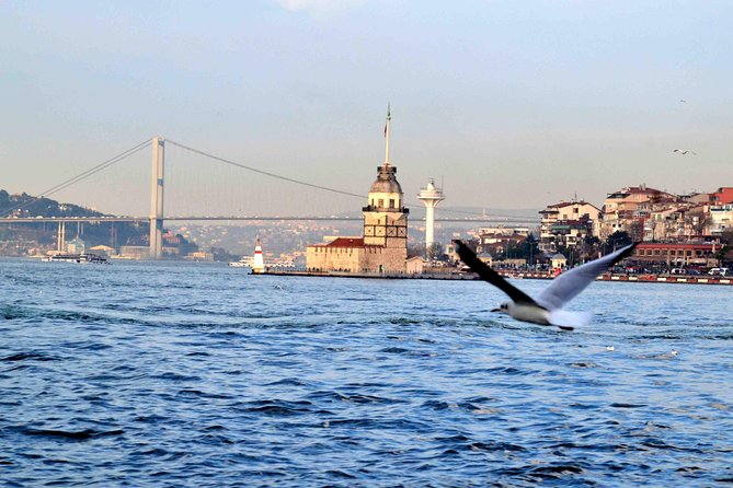 Panoramic City Tour with Bosphorus Strait Sightseeing Cruise - Getting on the Bosphorus Boat: Bridge Views, Rumeli Fortress, and Palace Gardens