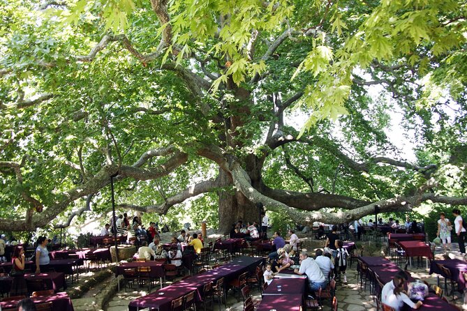 Premium Bursa and Uludag Tour - (Breakfast-Lunch Included) - Lunch, coffee or tea, and the drinks that keep the day easy
