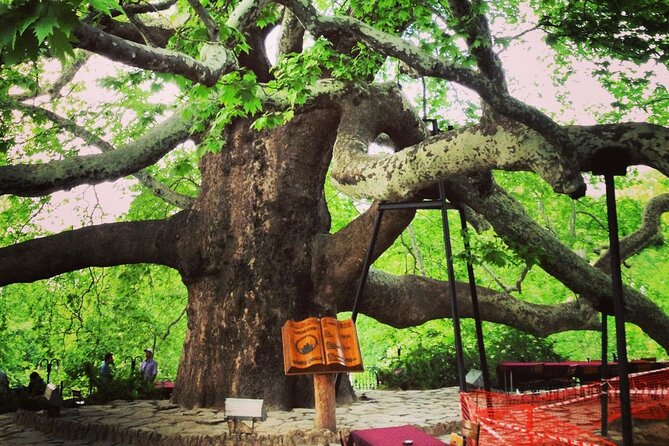 Premium Bursa and Uludag Tour - (Breakfast-Lunch Included) - Uludağ free time: what you can do with 1 hour up top