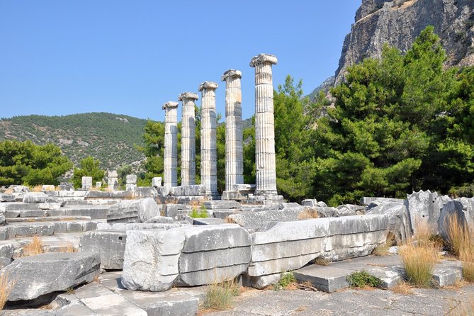 Priene Miletos Didyma Tour From Kusadasi / Selcuk Hotels - Entrance Fees, Skip-the-Line, and What to Bring