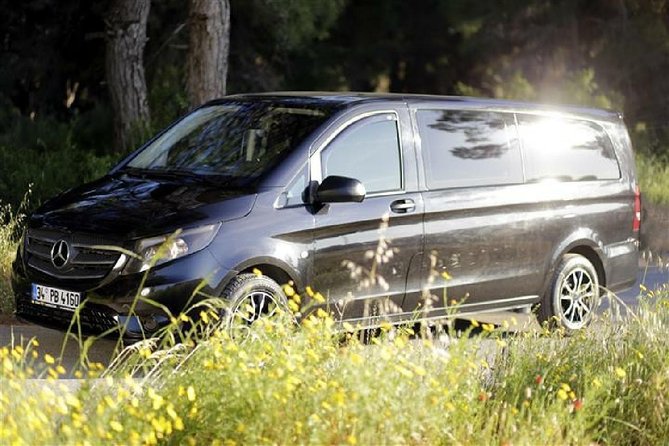 Private Airport Transfer From/To Dalaman Airport - Accessibility and Family-Friendly Details That Matter