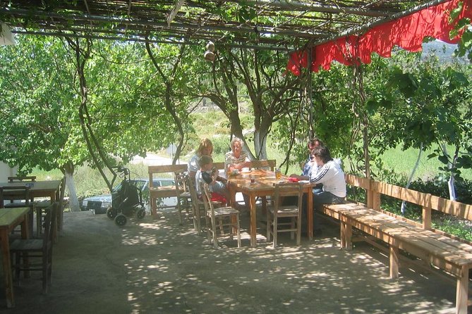 Private Bodrum Village Tour + 1 Glass Free Local Wine - The village walk: coffee shops, houses, and a real market pulse