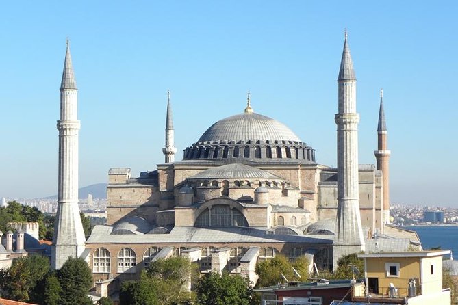 Private Custom Tours in Istanbul - Price and logistics: what $119.83 buys you