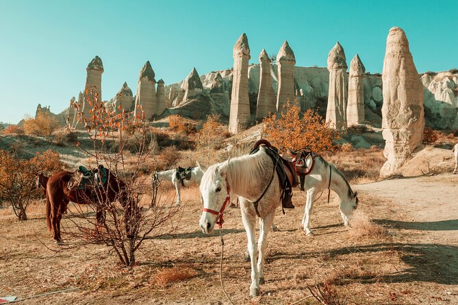 Private Day Trip to Cappadocia from Istanbul - Uchisar views to Ortahisar panoramas: the rock-formation circuit
