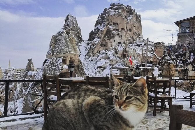 Private Day Trip to Cappadocia from Istanbul - Goreme Open-Air Museum: UNESCO frescoes and cave-church details