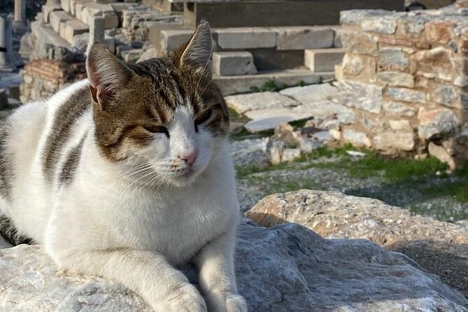 Private Ephesus and Artemis Temple Half Day Tour / On Time Return - Private guide moments that change the feel of the tour