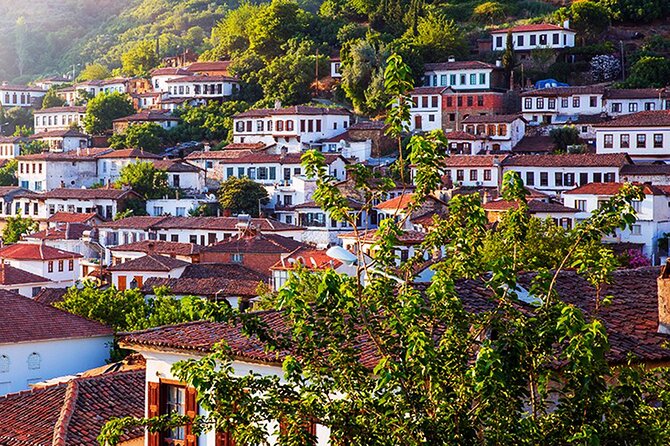 Private Ephesus and Sirince Village Tour from Kusadasi Port/Lunch - Price and what you actually get (plus the Ephesus ticket reality)