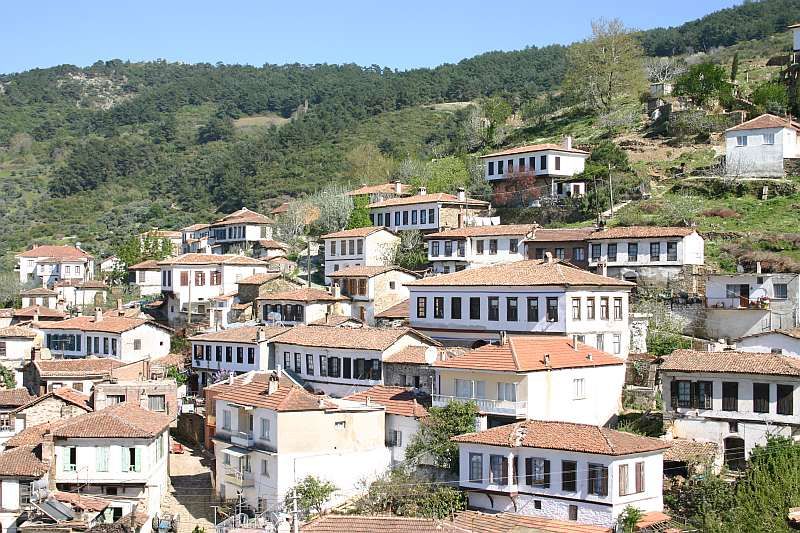 Private Ephesus, Terrace Houses & Sirince Village Tour - Ephesus in Guided Time: What Two Hours Really Does for You