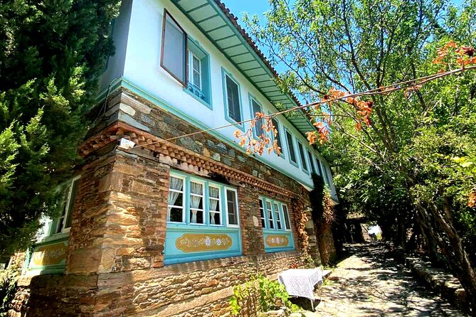 Private Ephesus Tour & Cooking Class in Village - Stop 2 in Çamlık: a countryside cooking class with pine-tree lunch