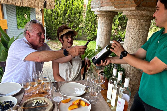 Private Ephesus Tour & Wine Tasting & Mediterrranean Lunch - Price and logistics: $169 makes sense if you want guidance and timing