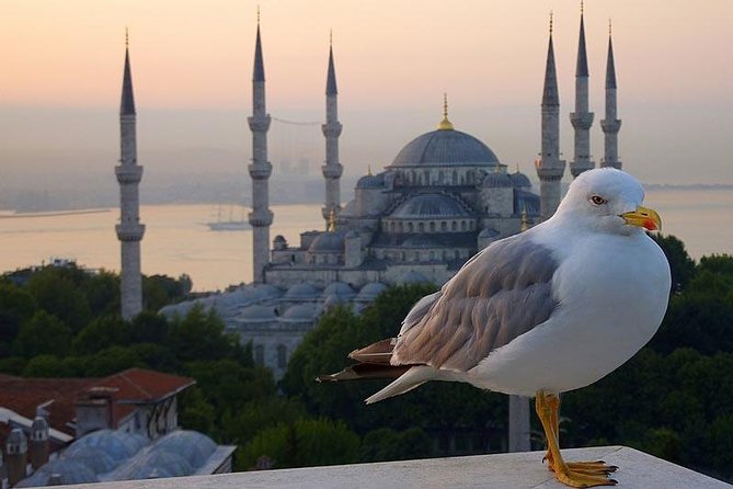 Private Istanbul Layover Tour From Airport - Airport Pickup at IST or SAW, Then a Comfortable Sprint Into the Sights