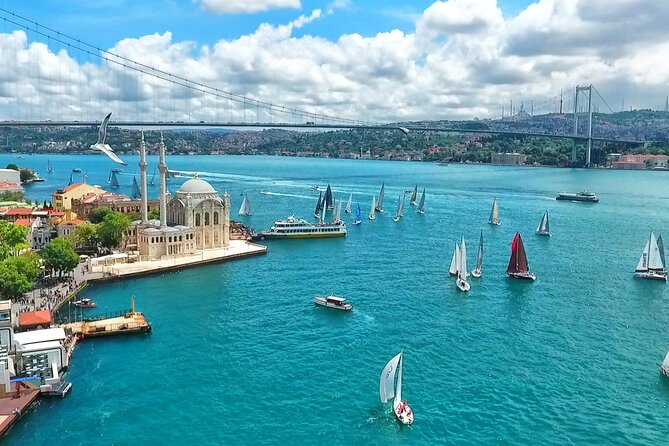 Private Istanbul Tour with Guide for 1, 2 or 3 Day Options - Who should book this 1 to 3-day private Istanbul plan