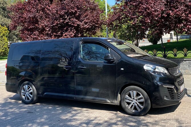 Private Minivan Transfer from Istanbul Airport - Price check: is $33.25 per person good value?