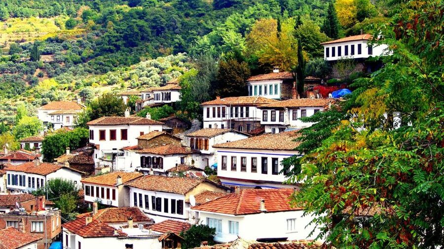 Private Sirince Village Tour From Kusadasi Port Cruiser Only - Should you book this half-day Şirince excursion?