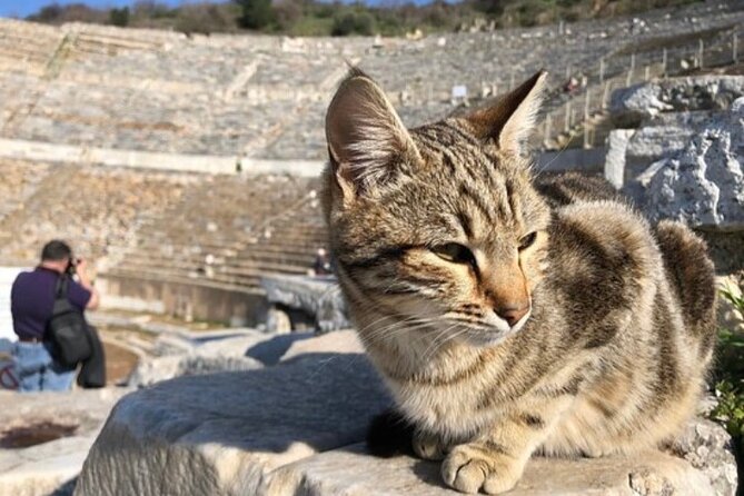 Private Tour : Biblical Ephesus Tour for Cruisers from Kusadasi ( Ephesus ) Port - St. John’s Basilica: the tomb tradition and the meaning it adds