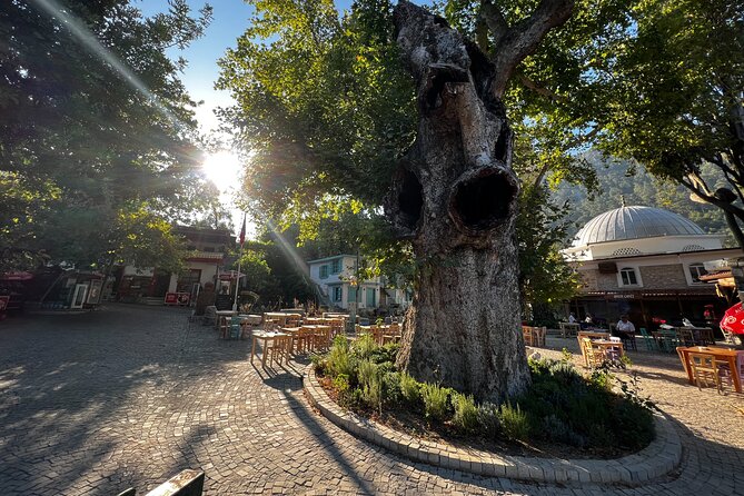 PRIVATE TOUR: Explore Hidden Gems of Marmaris Peninsula - Bayir Village: the 1800-year-old plane tree and mosque break