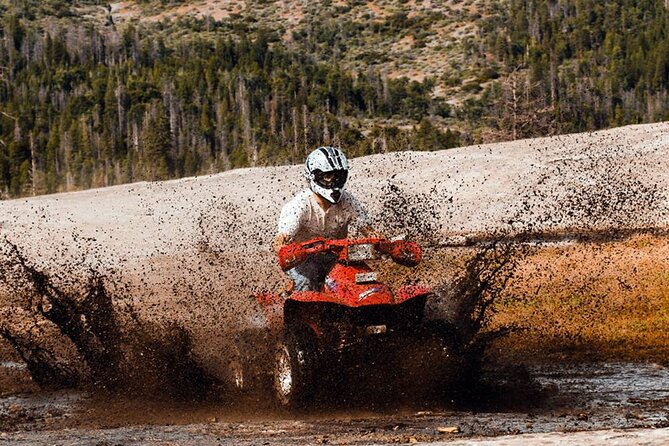Quad Safari Experience in Alanya (Adventure Tour) w/ Free Hotel Transfer - Helmets, Fuel, and Insurance, Plus the Real Value Check